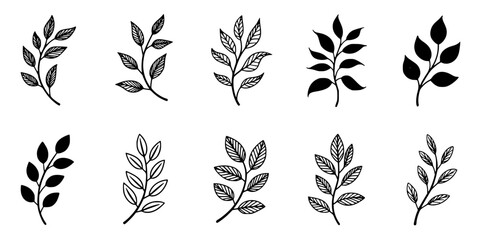 Fototapeta premium Leaf Branch Icons Set of Black and White Botanical Illustrations with Different Leaf Shapes and Symmetrical Sprig Designs