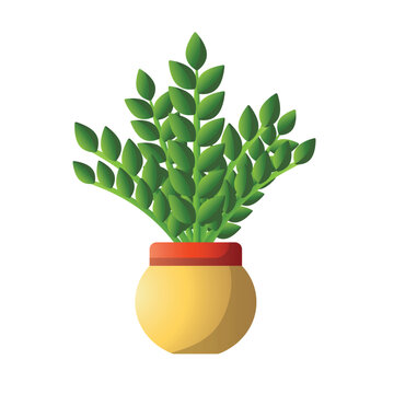 ZZ plant in pot, zz plant icon vector, indoor potted plants, interior home decoration, zz plant vector illustration