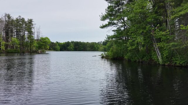 Drone view flying low over calm lake water in Harold Parker State Forest, Massachusetts, USA. Aerial forward, copy space