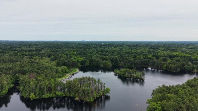 Drone view flying over calm lake surrounded by dense green pine forest under cloudy sky in Harold Parker State Forest, Massachusetts. Aerial backward, copy space