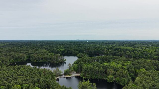 Harold Parker State Forest with Boston skyline in background, Massachusetts, USA. Aerial drone ascending, copy space