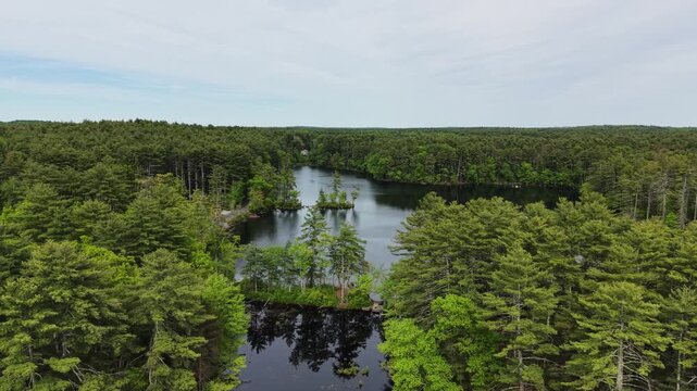 Drone view of small islands in dark lake water surrounded by endless green woodland under cloudy sky in Harold Parker State Forest, Massachusetts