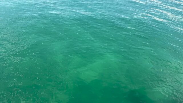 A tiny fish shoal swims below the clear turquoise sea surface, with gentle ripples, daylight reflections, and shallow underwater texture