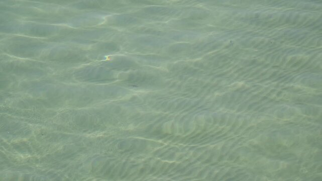 Beautiful high-angle shot of crystal-clear ocean water at Playa de San Lorenzo in Gij&oacute;n, Spain. Highlights bright sun caustics, ripples, and fine underwater sand patterns on the shallow seabed.