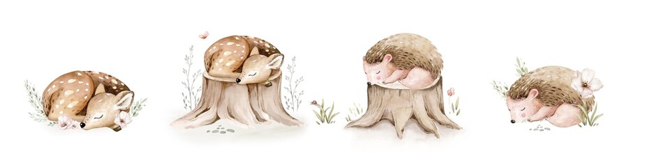 Watercolor cute sleeping baby hedgehog animal. Woodland nursery isolated illustration for children. for children. watercolour stump and acorn forest drawing with floral elements. Butterfly  © kris_art