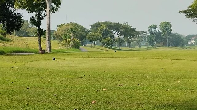 A lush green golf course with shady trees and manicured lawns under sunny skies. A tranquil tropical golf course