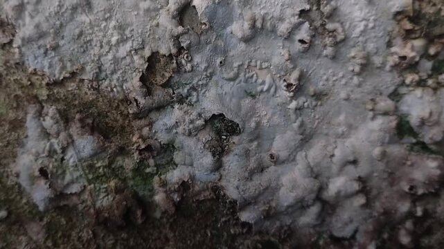 Wall paint is peeling and damaged due to damp walls and water seepage
