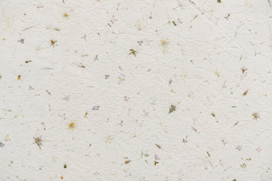 Handmade recycled paper texture with embedded dried flower petals, rustic off white botanical pulp surface background for eco friendly wedding invitation or branding