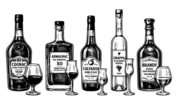 Vintage Brandy Varieties Collection Vector Illustration Featuring Cognac Armagnac Calvados and Grappa