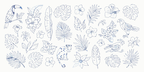 Tropical floral and fauna line art illustration blue on white background © Dilip