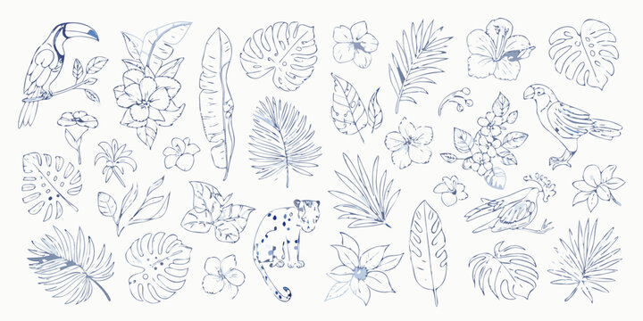 Tropical floral and fauna line art illustration blue on white background
