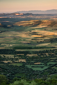 Sunrise Panorama over Sardinian Countryside from Giara di Gesturi