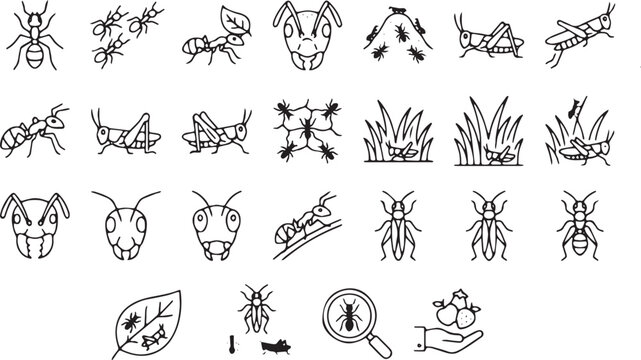 Ant and Grasshopper Insect Icon Set, Minimalist Vector Bugs Symbols with Anthill, Leaf Cutter Ant, Grass, Locust, and Magnifying Glass, Monoline Linear Design Elements on White Background