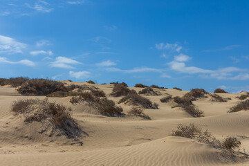 Naklejka premium Windswept Sand Dunes Covered With Dry Desert Bushes Under Blue Cloudy Sky