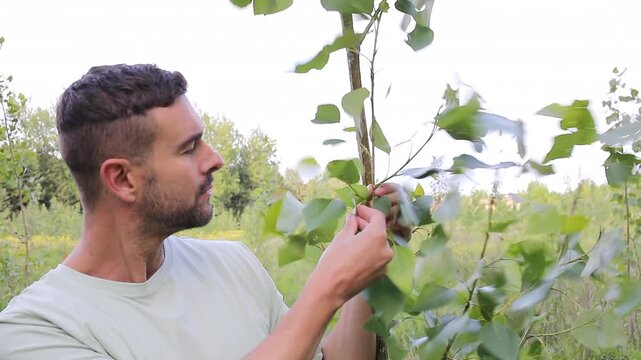 Landowner smiling next to Poplar Tree on His Plantation 