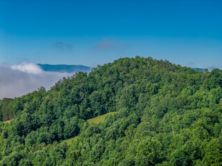 Fototapeta premium blue ridge mountains
