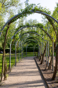 Willow cathedral or willow dome in IGA park in Rostock, Germany. Arch construction