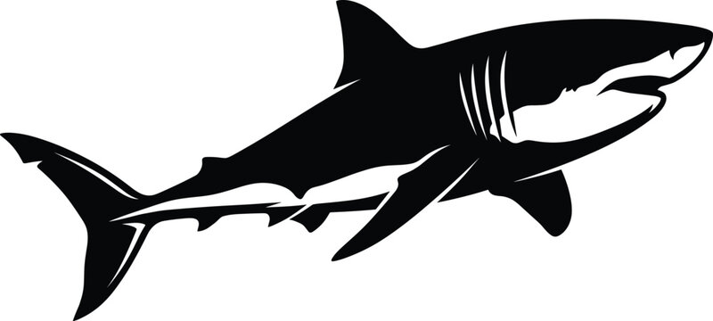 Great white shark vector illustration silhouette side view with closed jaw isolated on white background ocean predator marine wildlife mascot icon