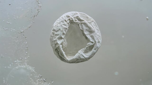 Dehydrated biological cell osmosis plasmolysis and severe fluid loss