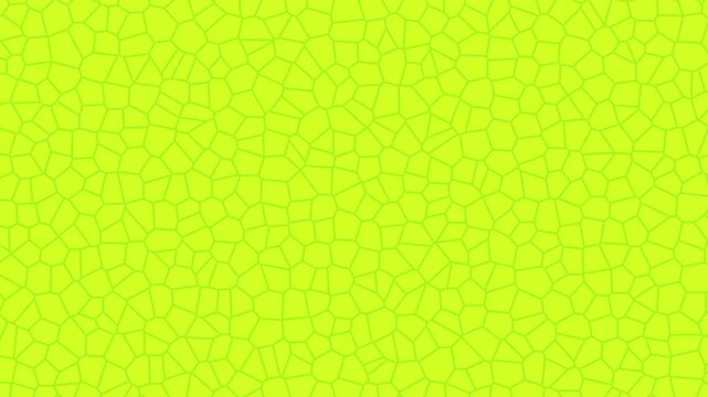 Abstract lime green animated background featuring a moving crack-like polygon texture with organic irregular lines and a clean modern look.