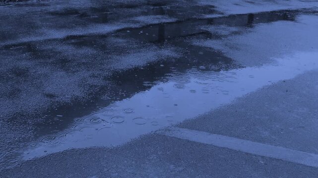 静かに広がる波紋とリアルな雨音