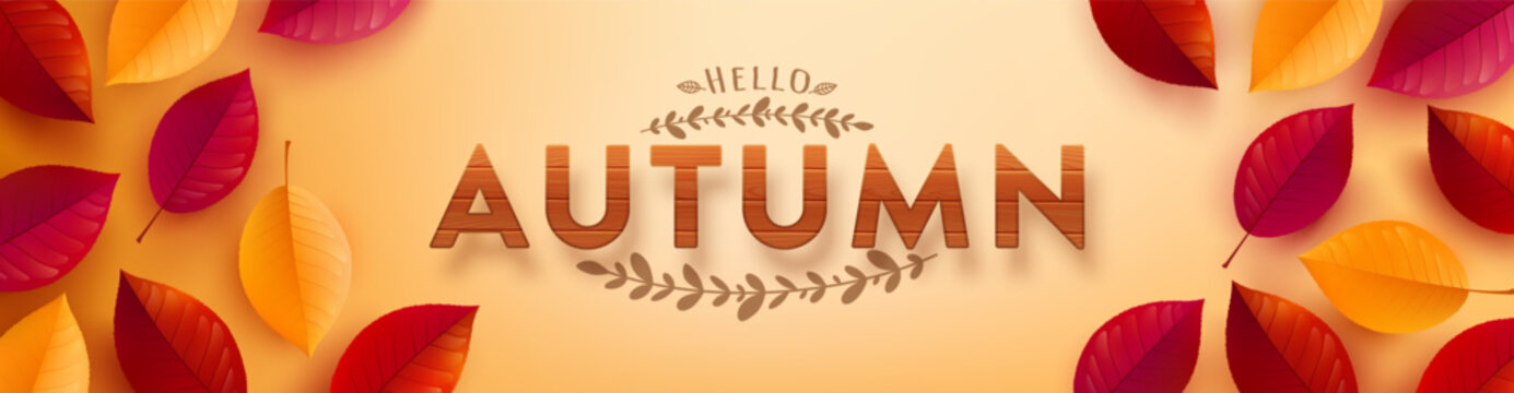 Autumn poster and banner template with wooden textured font and autumn colorful leaves on yellow background.Greetings and presents for Autumn season.Promotion template for Autumn or fall concept