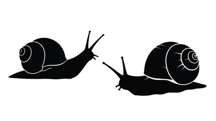 Two Snails With Shells In Black Silhouette © Nurunnar