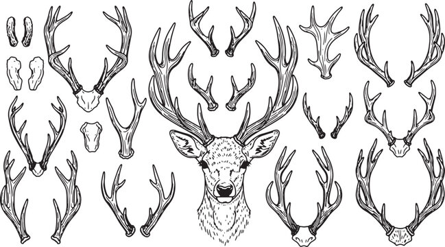Minimalist Deer Antler Silhouettes Line Art Vector Illustration Set Seasonal Wildlife