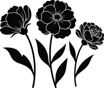 Black silhouette of three flowers on white background