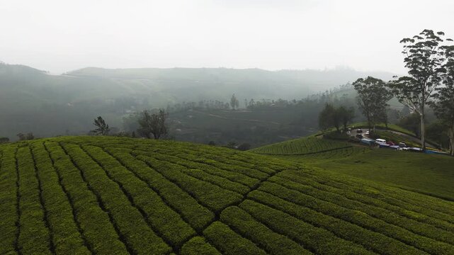 Panoramic drone shot over rolling hills and tea estates in foggy Kerala, India