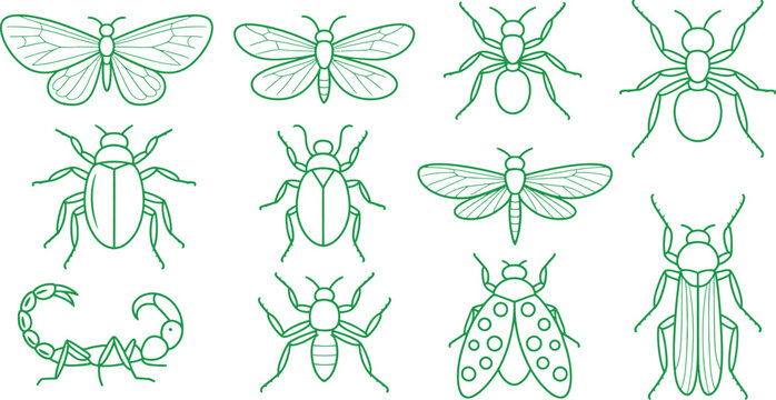 Green line drawings of various insects on white background
