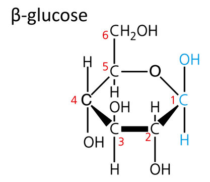 Chemical structure of beta-D-glucose (Haworth projection).