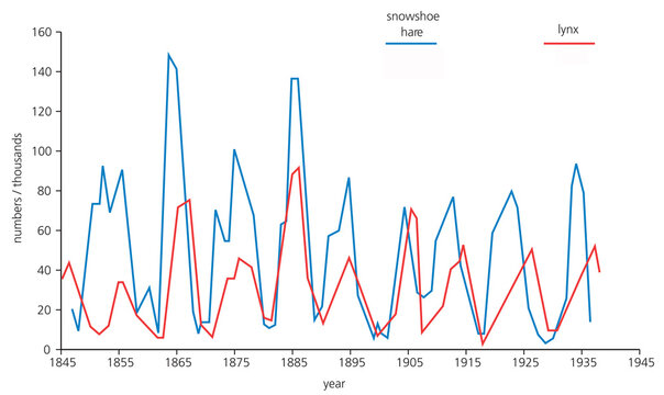 Population fluctuations of the snowshoe hare and lynx (predator-prey model).