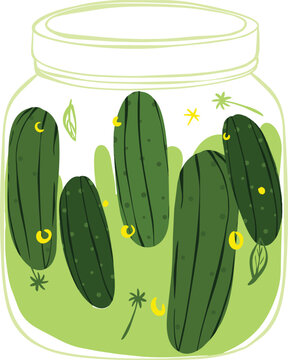Hand drawn Glass jar filled with pickled cucumbers and dill spears illustration