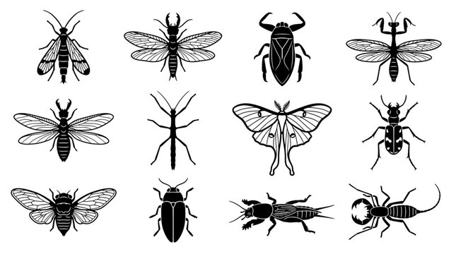 A wildlife silhouette icon collection featuring 12 exotic insects including scorpionfly, dobsonfly, giant water bug, mantisfly, antlion, walking stick, luna moth, tiger beetle, cicada, jewel beetle
