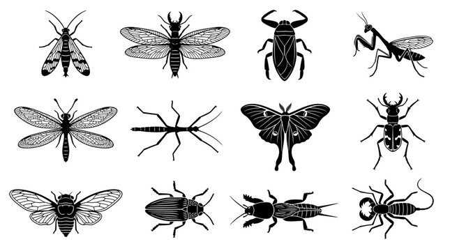 A wildlife silhouette icon collection featuring 12 exotic insects including scorpionfly, dobsonfly, giant water bug, mantisfly, antlion, walking stick, luna moth, tiger beetle, cicada, jewel beetle