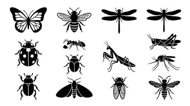 A premium vector silhouette icon set featuring 12 insect species including butterfly, honey bee, dragonfly, ladybug, ant, grasshopper, beetle, praying mantis, mosquito, moth, cicada, and wasp, clean 