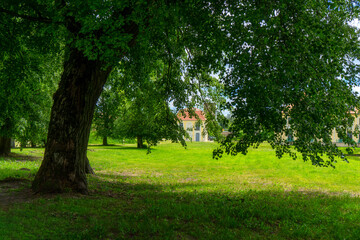 Park przy letniej rezydencji J. K. Branickiego w Choroszczy, Podlasie, Polska © podlaski49