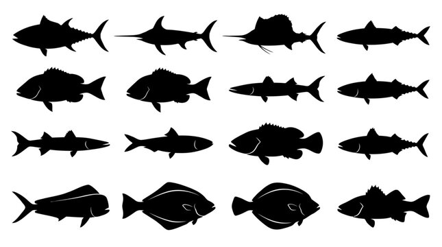 A professional vector silhouette collection of 12 ocean fish species including tuna, swordfish, marlin, mackerel, barracuda, sardine, grouper, snapper, mahi-mahi, halibut, flounder, and sea bass,