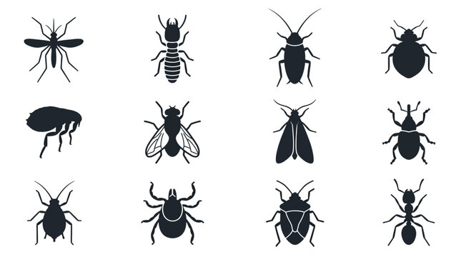 A modern vector silhouette set of 12 pest insects including mosquito, termite, cockroach, bed bug, flea, housefly, clothes moth, weevil, aphid, tick, stink bug, and ant, simple recognizable 