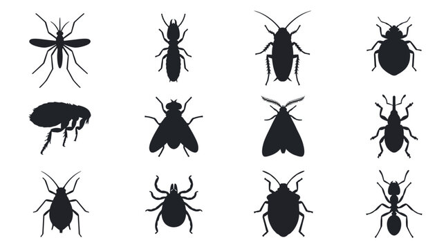 A modern vector silhouette set of 12 pest insects including mosquito, termite, cockroach, bed bug, flea, housefly, clothes moth, weevil, aphid, tick, stink bug, and ant, simple recognizable 