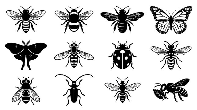 A clean silhouette icon set featuring 12 pollinator insects including honey bee, bumblebee, carpenter bee, butterfly, moth, hoverfly, beetle, wasp, flower fly, longhorn beetle, sweat bee, and 