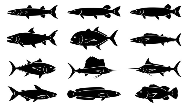 &ldquo;A modern vector silhouette set of 12 predatory fish including great barracuda, northern pike, muskellunge, tigerfish, giant trevally, wahoo, bluefin tuna, sailfish, marlin, shark catfish, snakehead 