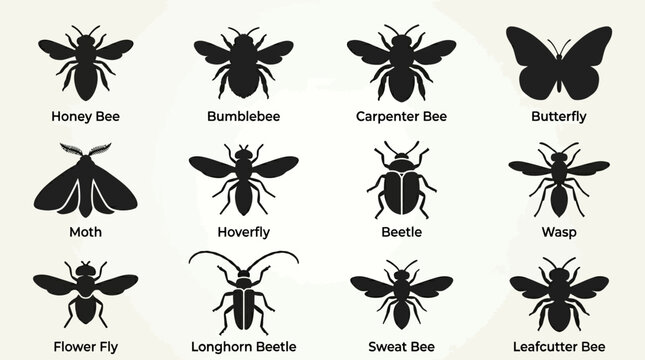 A clean silhouette icon set featuring 12 pollinator insects including honey bee, bumblebee, carpenter bee, butterfly, moth, hoverfly, beetle, wasp, flower fly, longhorn beetle, sweat bee, and 