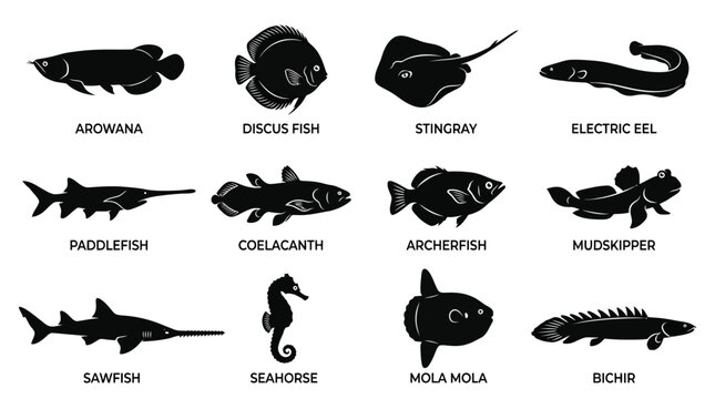 &ldquo;A premium wildlife vector silhouette icon set featuring 12 exotic fish species including arowana, discus fish, stingray, electric eel, paddlefish, coelacanth, archerfish, mudskipper, sawfish,