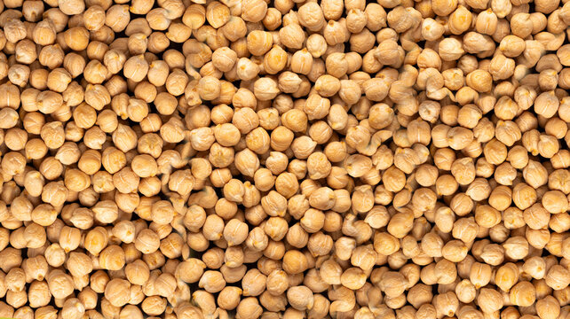 Chickpea, chick pea pile, dry Cicer arietinum fruits, raw Bengal gram legume, garbanzo beans