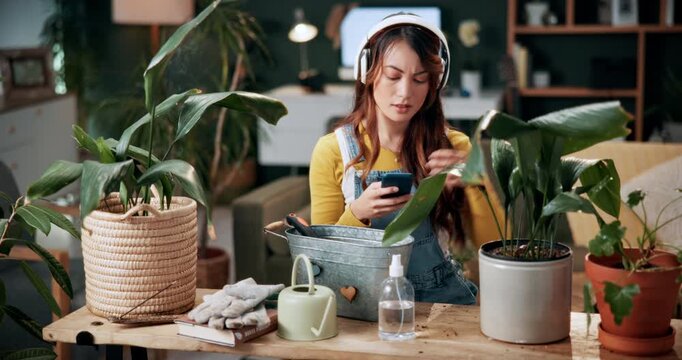 Woman, plants and research with phone in home for indoor gardening, information or online tips. Female person, florist or botanist monitoring growth of ferns with headphones or smartphone for botany