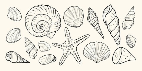 Seashells And Starfish Collection Hand drawn Sketch Style Illustration © Prodip
