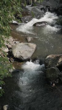 Cinematic vertical slow motion footage of a freshwater river current rippling among large stones, surrounded by fresh forest foliage.