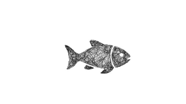 Sketch fish icon animation - smooth progressive reveal